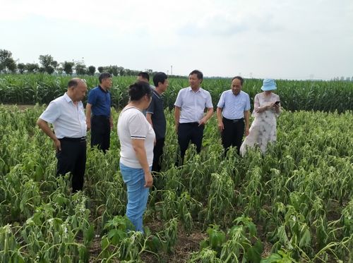 科技赋能，心系田间——我院科技人员赴受灾一线开展技术服务纪实
