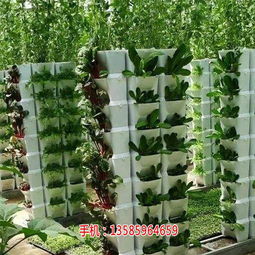 西安物联网农业智能温室大棚厂家价格 植物生长可视化数据可采集 多图 福建新型物联网智能温室大棚建设